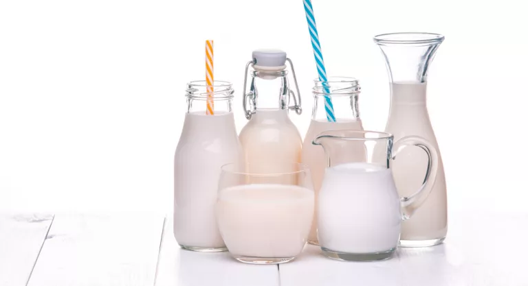 Tipos de bebidas vegetales