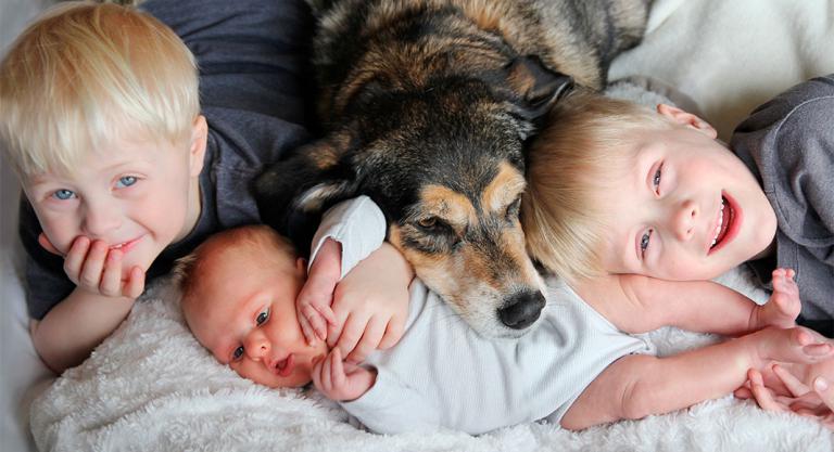 Perro con niños y bebé recién nacido