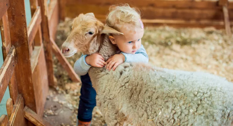 Niña con un animal en una granja escuela