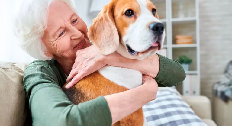 Mascotas para personas mayores