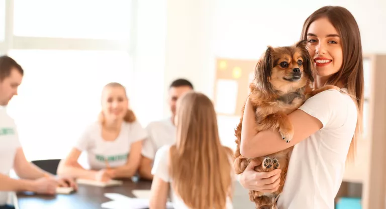 Voluntario de una protectora de animales