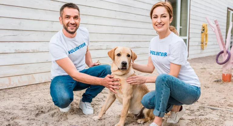 Chicos voluntarios en una protectora de animales