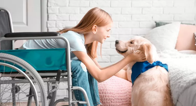 Perro de asistencia