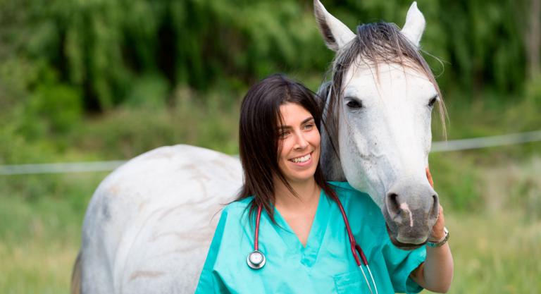 Veterinaria andando con el caballo tras un cólico