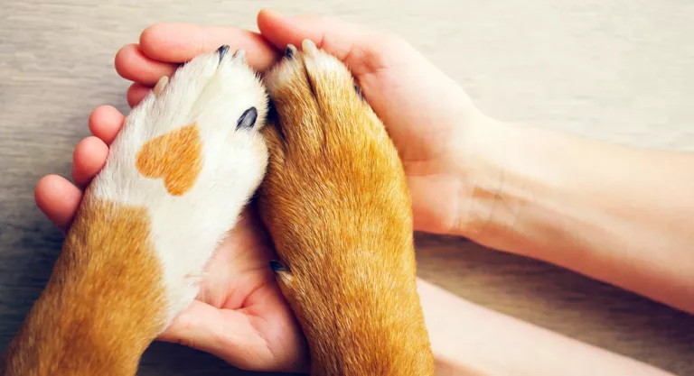 Mujer cogiendo la pata de su perro