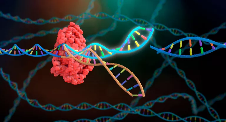 CRISPR-Cas9