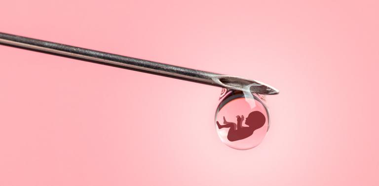 Concepto de inseminación artificial