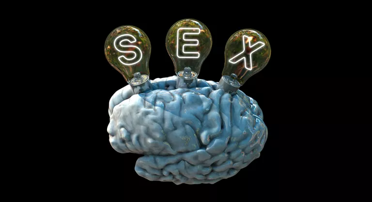 Alteraciones en el cerebro por la adicción al porno