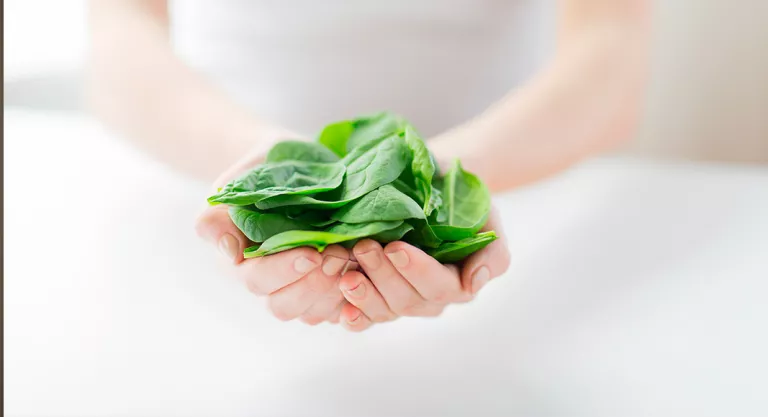 Alimentos ricos en hierro