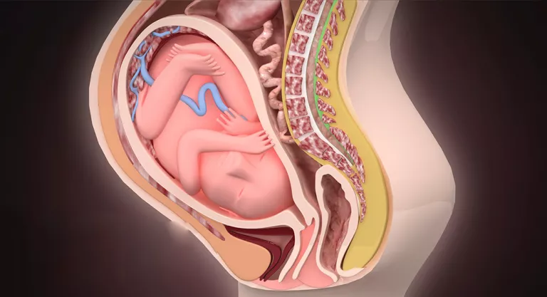 Crecimiento uterino