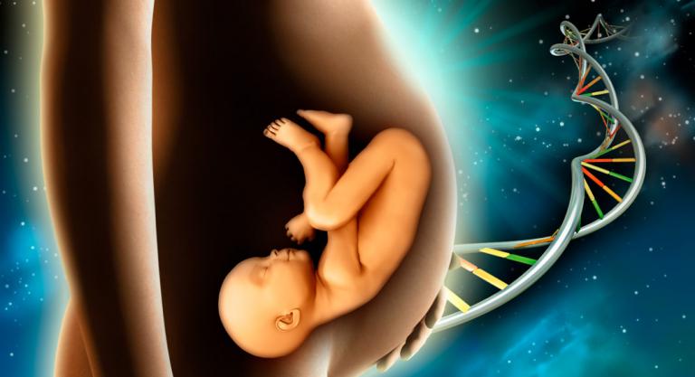 Prueba genética prenatal