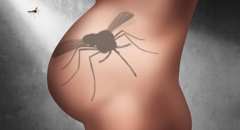 Riesgo en el embarazo por el virus del zika