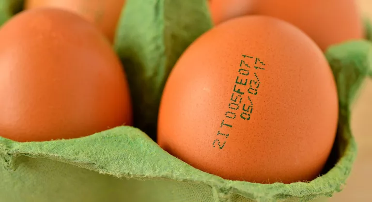 Caducidad de los huevos