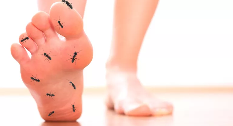 Hormigueo en los pies