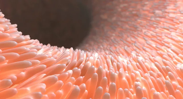 Mala absorción de nutrientes