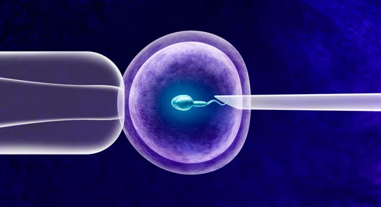 Problemas de esterilidad tras el cáncer de mama