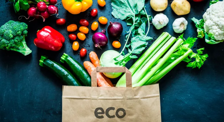 Alimentación ecológica