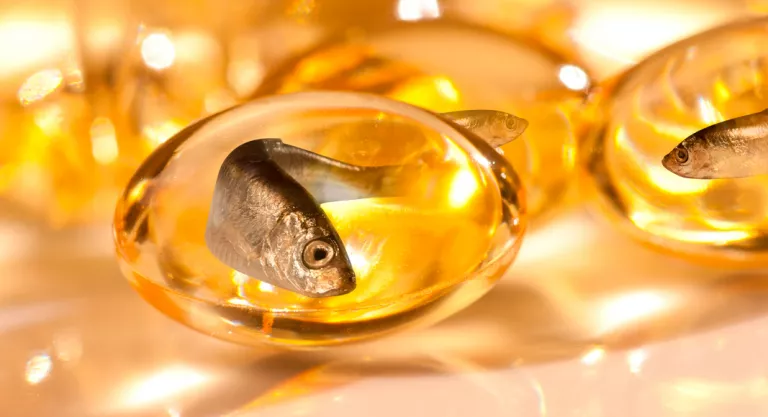 Ácidos grasos Omega 3