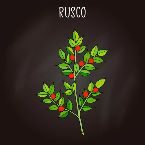 Rusco