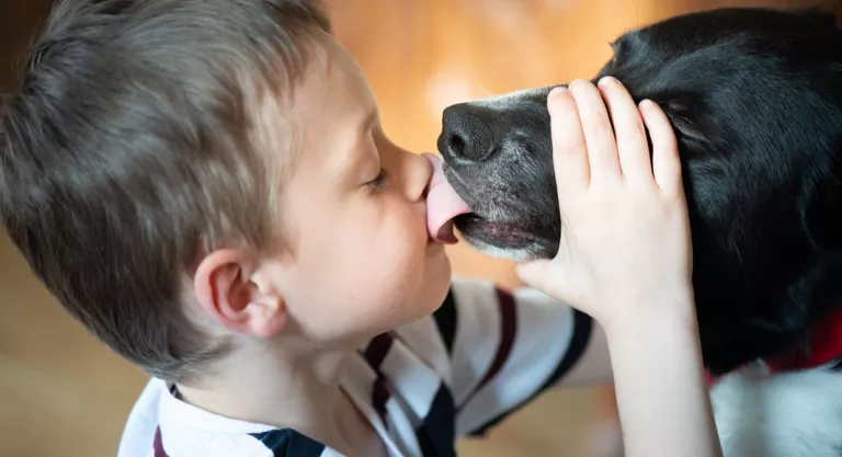 Autismo: terapia con animales 