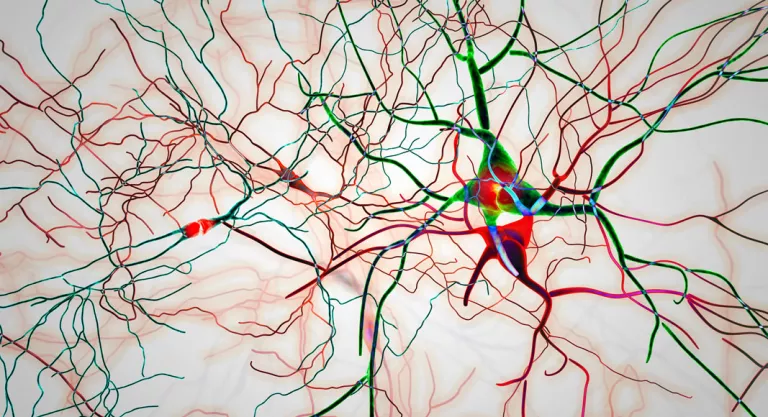 Neuronas dañadas por la enfermedad de Parkinson