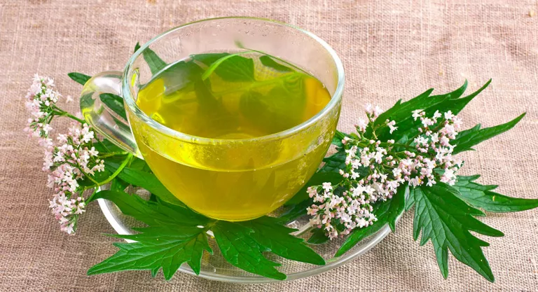 7 Bebidas e infusiones para descansar mejor: valeriana