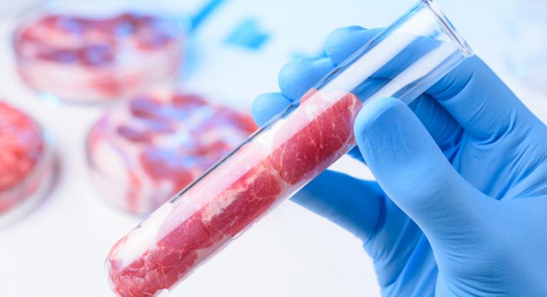 Carne artificial de laboratorio