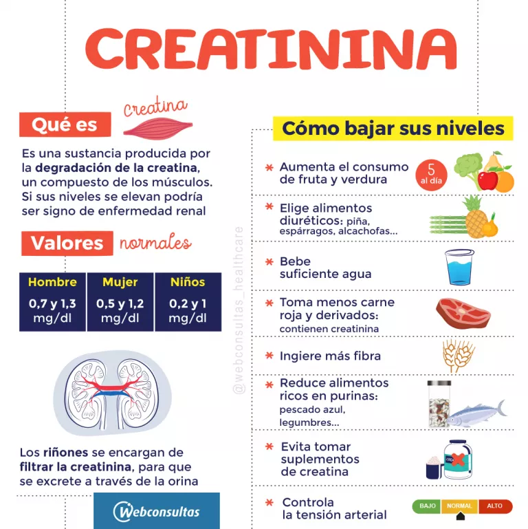 Infografía: Creatinina, valores y pautas dietéticas para bajar sus niveles