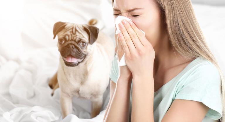 Tratamientos del asma: medidas no farmacológicas: animales