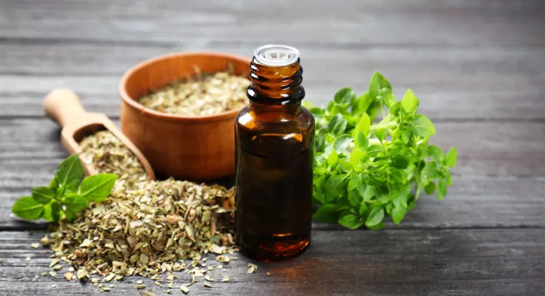 Como Se Toma El Oregano Infusiones Digestivas Y Otros Usos