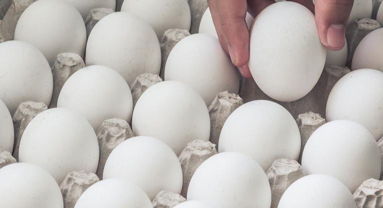 Dar la vuelta a los huevos para conservarlos