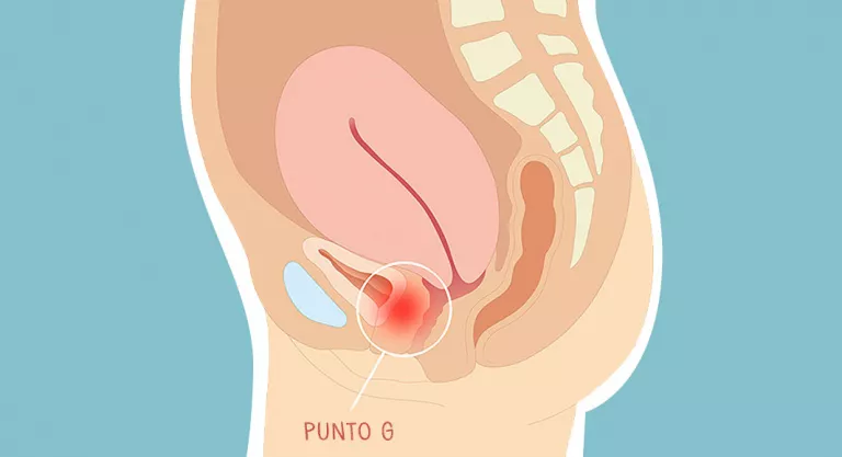 Existe el punto G? Qué es y dónde se encuentra