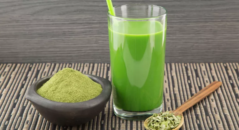 Bebida de moringa