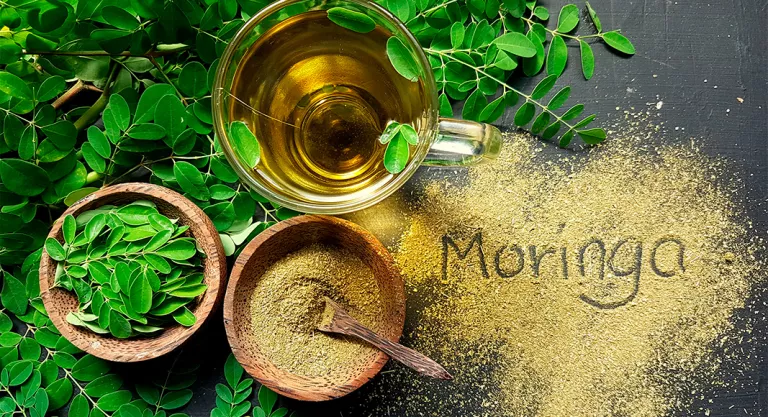 Moringa en aceite, polvo y planta