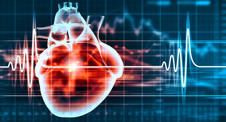 Frecuencia cardiaca: cómo calcular tus pulsaciones