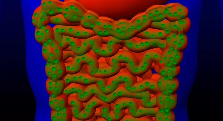 Gases en el intestino