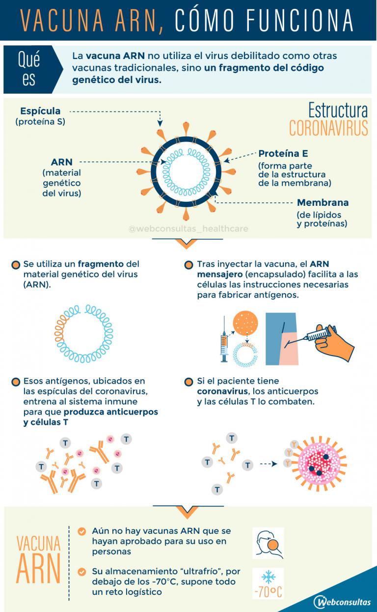 Infografía: vacunas ARN
