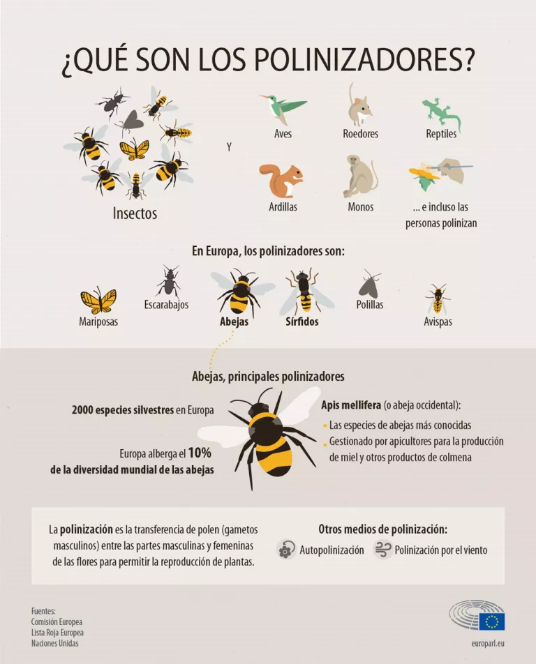 Animales polinizadores, claves en la nutrición humana: infografía