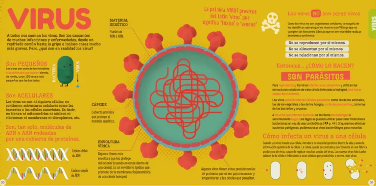 Ilustración del libro de Microbios de Sheddad Kaid-Salah Ferrón