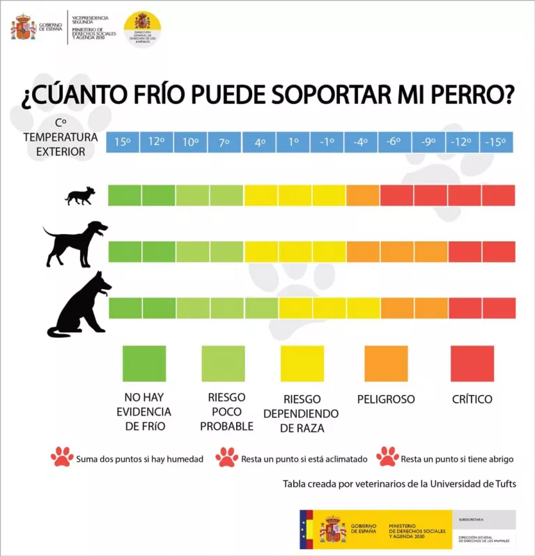 Infografía 'Cuánto frío puede soportar un perro según su raza y tamaño'