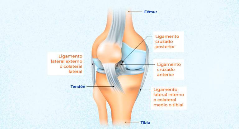 Tipos de esguinces de ligamento de rodilla