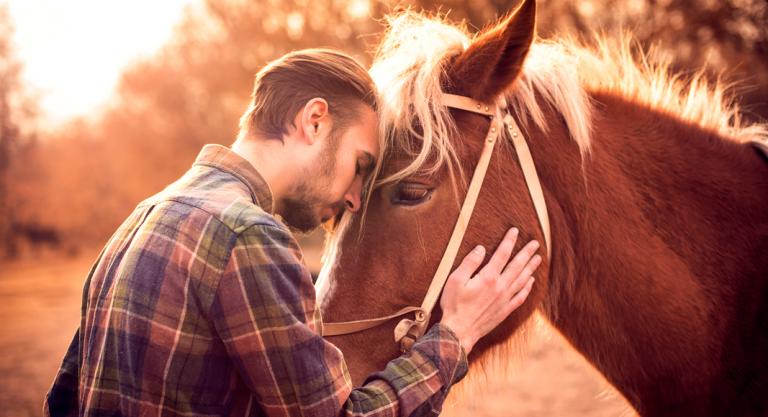 Hombre adiestrando un caballo