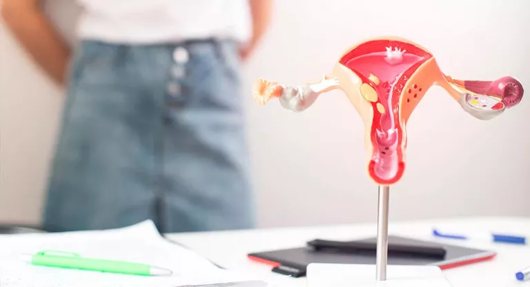 Primera Regla Tras El Parto Cuando Vuelve La Menstruacion