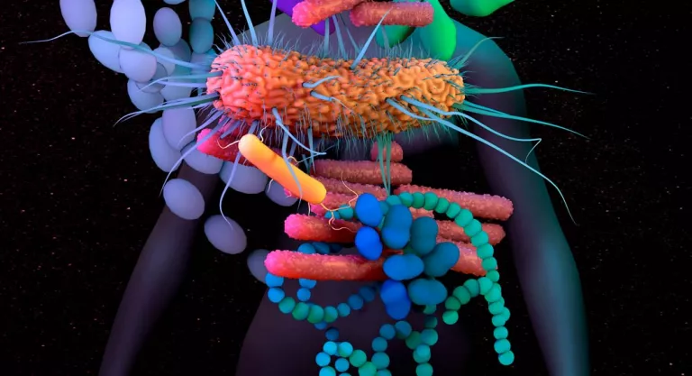 Microbiota intestinal