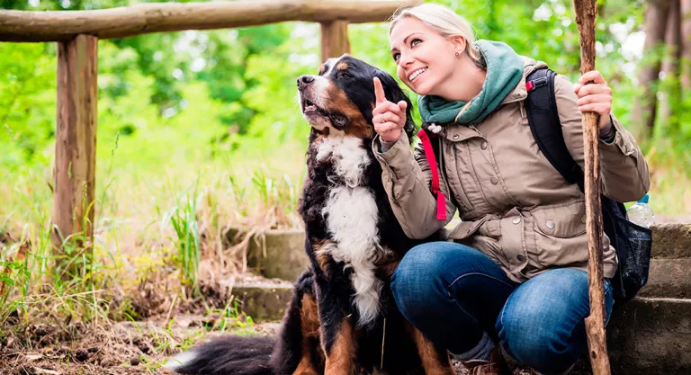 material para realizar una excursión con tu perro