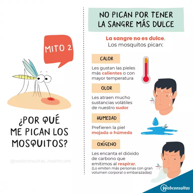 Infografía: Factores que influyen en que los mosquitos piquen más 