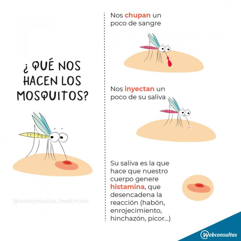 Infografía: picaduras de mosquito