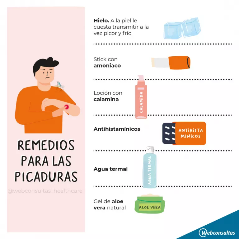 Infografía: remedios para las picaduras de mosquito