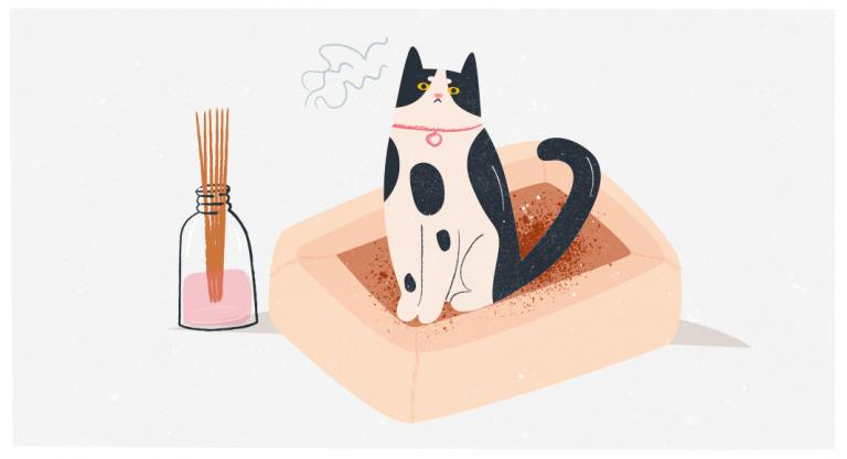 Evita los ambientadores cerca de la caja de arena de tu gato