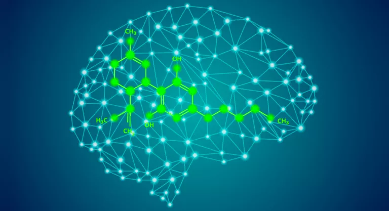 Cannabidiol como agente neuroprotector